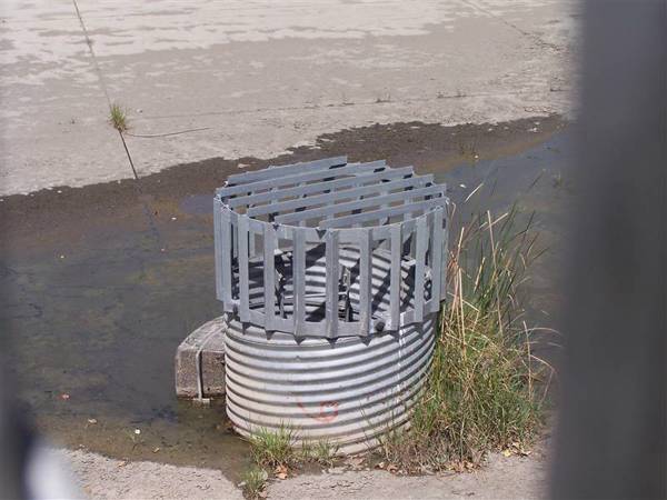 D93C Pipe Riser With Debris Rack | Long Beach Iron Works